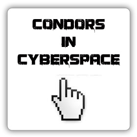 condors in cyberspace