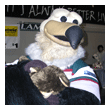 Little Condos Fan