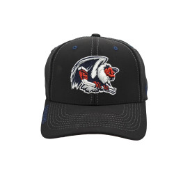 Zephyr Buffalo Sabres Snapback Hat